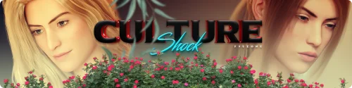 Culture Shock 3D