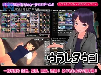 SoldGirl Town 3D
