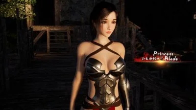 Princess & Blade 3D